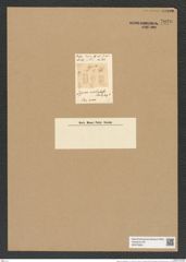 Zygoceros occidentalis L. W. (de-Toni-Nr.: Genus 126, Species 3550) Zeichnungen Sammlung Grunow Nr. 7030 (NHMW-BOT-W0375953)